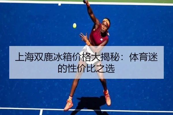 上海双鹿冰箱价格大揭秘：体育迷的性价比之选